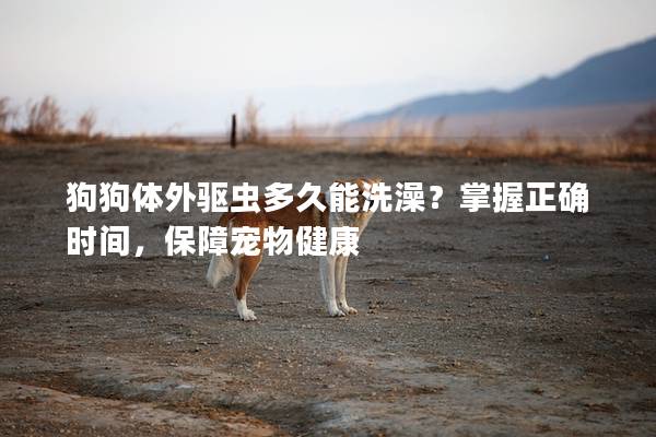 狗狗體外驅(qū)蟲多久能洗澡？掌握正確時間，保障寵物健康
