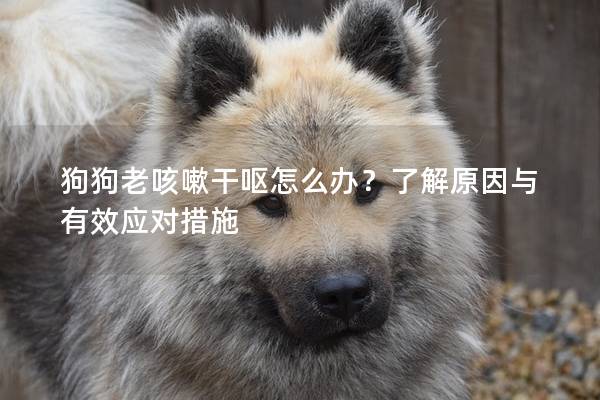 狗狗老咳嗽干嘔怎么辦？了解原因與有效應(yīng)對措施