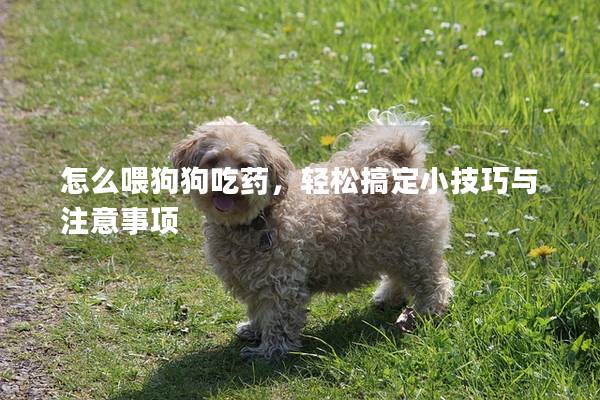 怎么喂狗狗吃藥，輕松搞定小技巧與注意事項