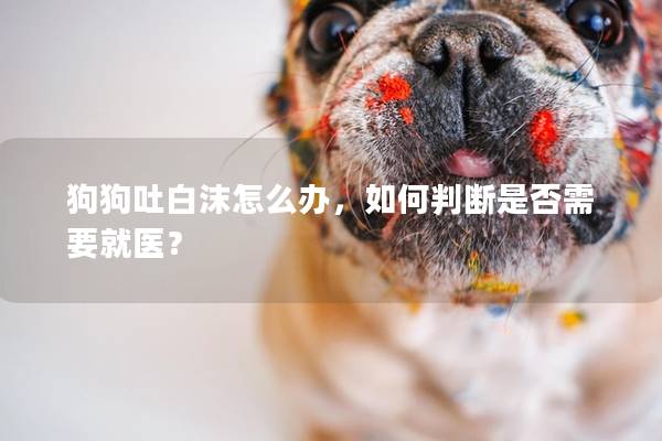 狗狗吐白沫怎么辦，如何判斷是否需要就醫(yī)？