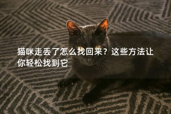 貓咪走丟了怎么找回來？這些方法讓你輕松找到它