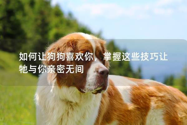 如何讓狗狗喜歡你，掌握這些技巧讓牠與你親密無間