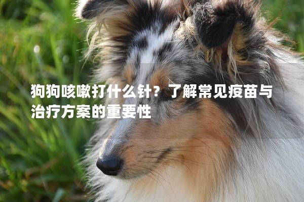 狗狗咳嗽打什么針？了解常見疫苗與治療方案的重要性
