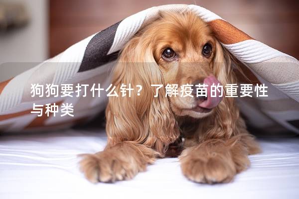 狗狗要打什么針？了解疫苗的重要性與種類