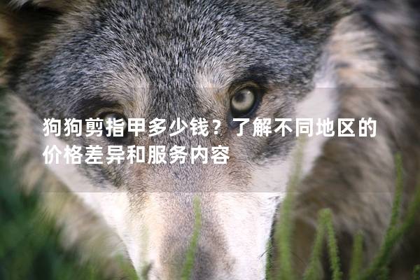 狗狗剪指甲多少錢?了解不同地區的價格差異和服務內容 狗狗剪指甲多少錢?了解不同地區的價格差異和服務內容