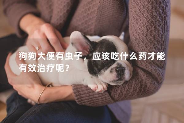 狗狗大便有蟲子，應該吃什么藥才能有效治療呢？
