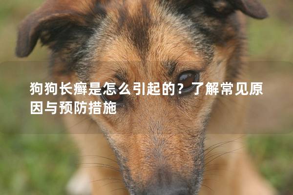 狗狗長癬是怎么引起的？了解常見原因與預(yù)防措施