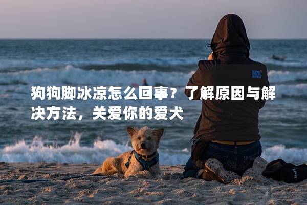 狗狗腳冰涼怎么回事？了解原因與解決方法，關愛你的愛犬