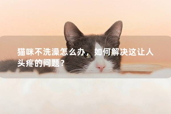 貓咪不洗澡怎么辦，如何解決這讓人頭疼的問題？