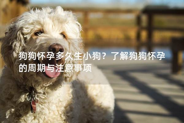狗狗懷孕多久生小狗？了解狗狗懷孕的周期與注意事項
