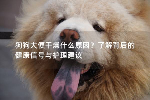 狗狗大便干燥什么原因？了解背后的健康信號與護理建議