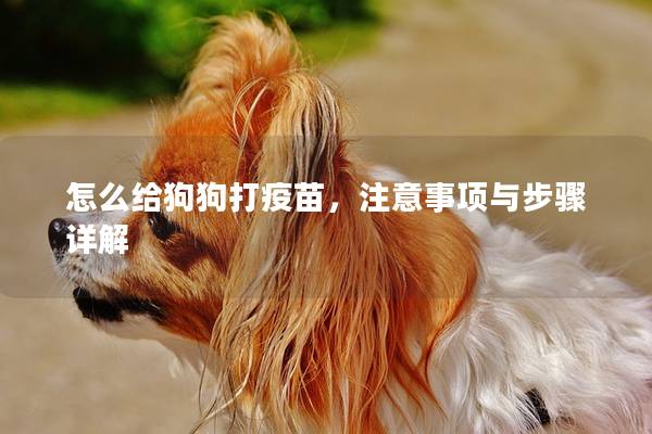 怎么給狗狗打疫苗，注意事項(xiàng)與步驟詳解