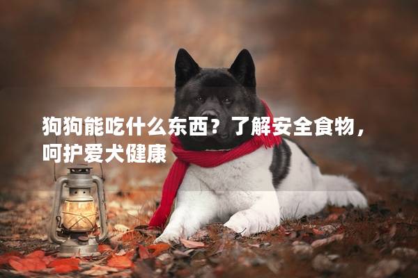 狗狗能吃什么東西？了解安全食物，呵護(hù)愛犬健康