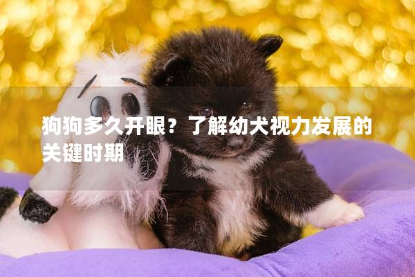 狗狗多久開眼？了解幼犬視力發展的關鍵時期