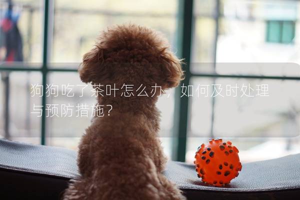 狗狗吃了茶葉怎么辦，如何及時(shí)處理與預(yù)防措施？