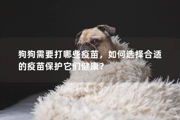 狗狗需要打哪些疫苗，如何選擇合適的疫苗保護它們健康？