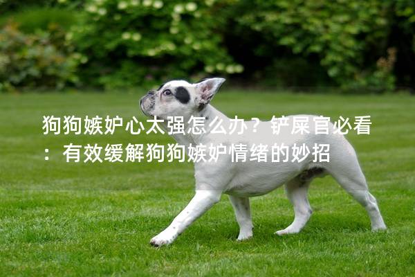 狗狗嫉妒心太強怎么辦?鏟屎官必看:有效緩解狗狗嫉妒情緒的妙招 狗狗嫉妒心太強怎么辦?鏟屎官必看:有效緩解狗狗嫉妒情緒的妙招