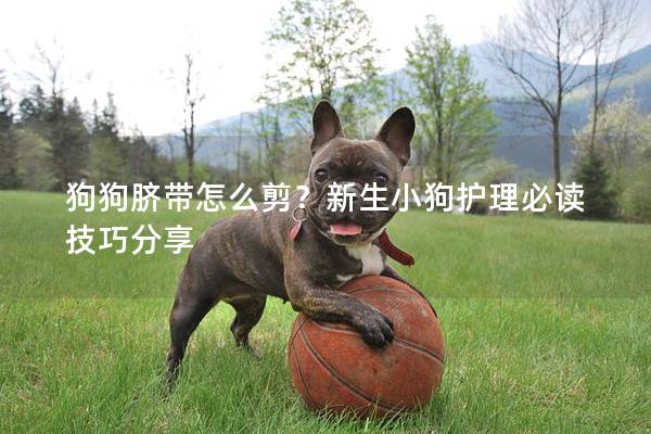 狗狗臍帶怎么剪?新生小狗護(hù)理必讀技巧分享