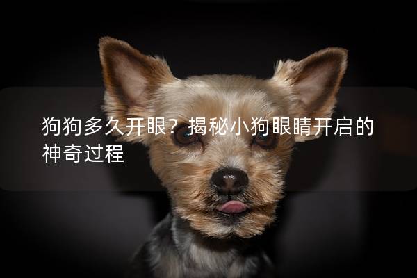 狗狗多久開眼?揭秘小狗眼睛開啟的神奇過程 狗狗多久開眼?揭秘小狗眼睛開啟的神奇過程