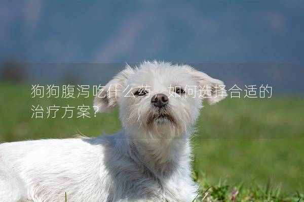 狗狗腹瀉吃什么藥，如何選擇合適的治療方案？