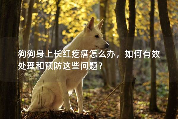 狗狗身上長紅疙瘩怎么辦，如何有效處理和預(yù)防這些問題？