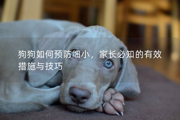 狗狗如何預(yù)防細(xì)小，家長(zhǎng)必知的有效措施與技巧