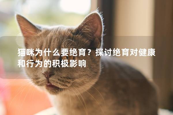 貓咪為什么要絕育？探討絕育對健康和行為的積極影響