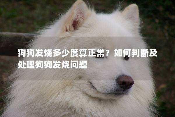 狗狗發燒多少度算正常？如何判斷及處理狗狗發燒問題
