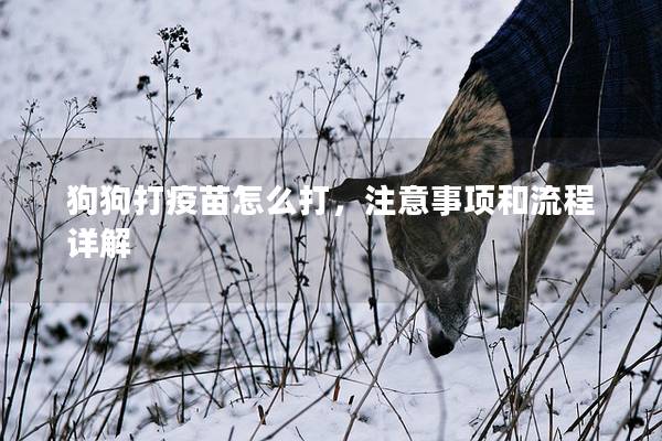 狗狗打疫苗怎么打，注意事項和流程詳解