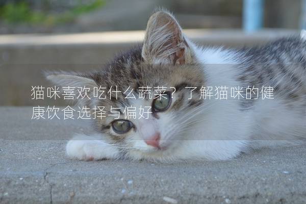 貓咪喜歡吃什么蔬菜？了解貓咪的健康飲食選擇與偏好