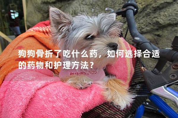 狗狗骨折了吃什么藥，如何選擇合適的藥物和護理方法？