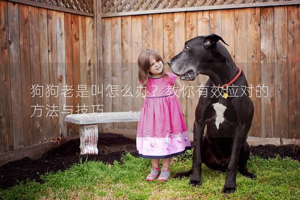 狗狗老是叫怎么辦?教你有效應對的方法與技巧 狗狗老是叫怎么辦?教你有效應對的方法與技巧