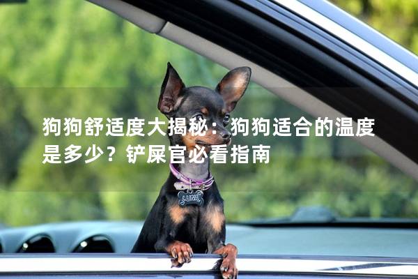 狗狗舒適度大揭秘：狗狗適合的溫度是多少？鏟屎官必看指南