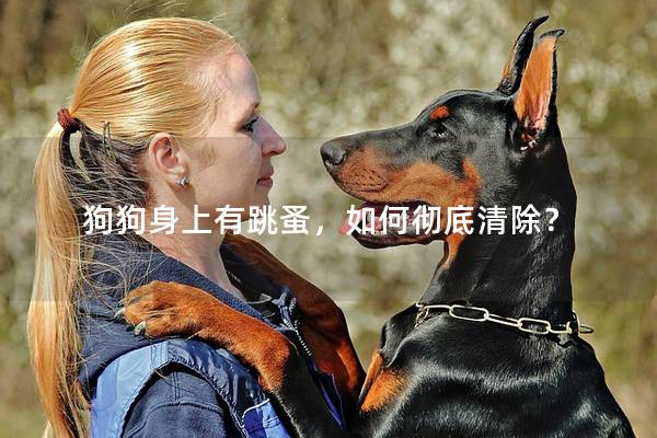 狗狗身上有跳蚤，如何徹底清除？