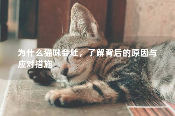 為什么貓咪會吐，了解背后的原因與應對措施
