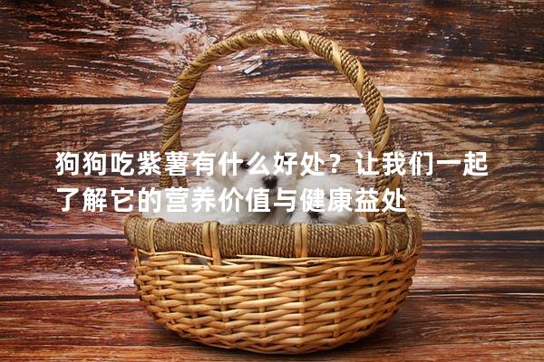 狗狗吃紫薯有什么好處?讓我們一起了解它的營養價值與健康益處 狗狗吃紫薯有什么好處?讓我們一起了解它的營養價值與健康益處
