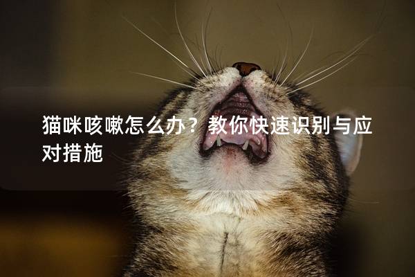 貓咪咳嗽怎么辦？教你快速識別與應對措施