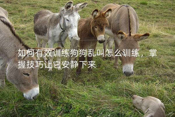 如何有效訓練狗狗亂叫怎么訓練，掌握技巧讓它安靜下來