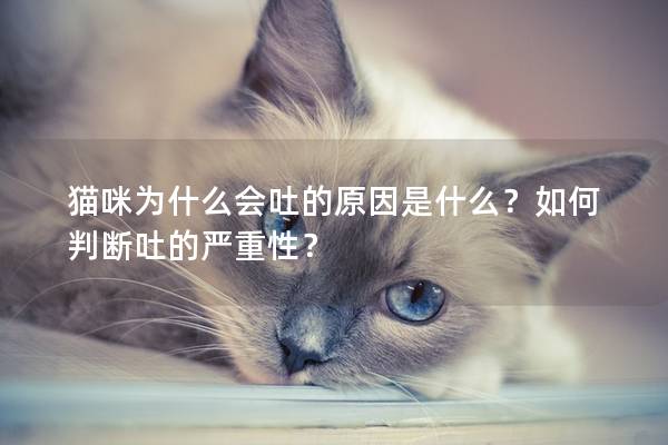 貓咪為什么會(huì)吐的原因是什么？如何判斷吐的嚴(yán)重性？