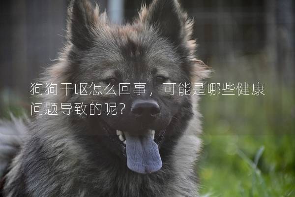 狗狗干嘔怎么回事，可能是哪些健康問題導致的呢？