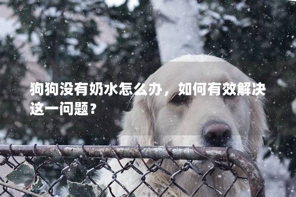 狗狗沒有奶水怎么辦，如何有效解決這一問題？