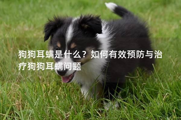 狗狗耳螨是什么？如何有效預防與治療狗狗耳螨問題