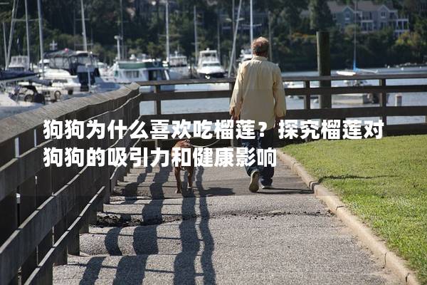 狗狗為什么喜歡吃榴蓮？探究榴蓮對狗狗的吸引力和健康影響