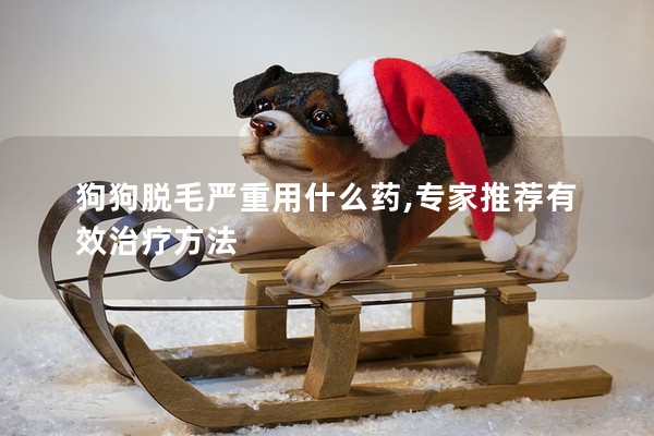 狗狗脫毛嚴重用什么藥,專家推薦有效治療方法 狗狗脫毛嚴重用什么藥,專家推薦有效治療方法