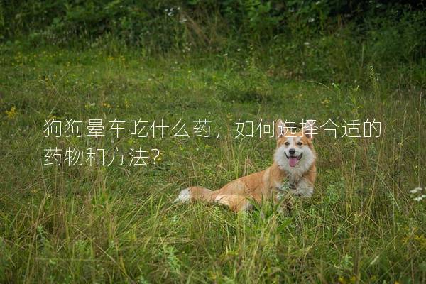 狗狗暈車吃什么藥，如何選擇合適的藥物和方法？