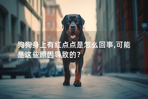 狗狗身上有紅點(diǎn)點(diǎn)是怎么回事,可能是這些原因?qū)е碌模?></a></dt><dd><h2 class=