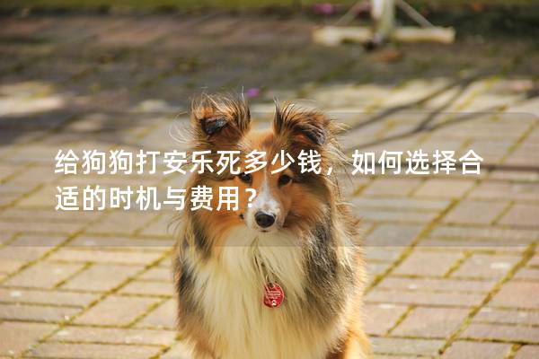 給狗狗打安樂死多少錢，如何選擇合適的時機與費用？