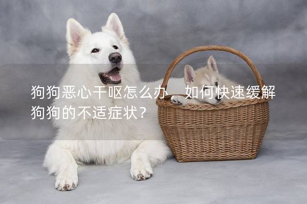 狗狗惡心干嘔怎么辦，如何快速緩解狗狗的不適癥狀？