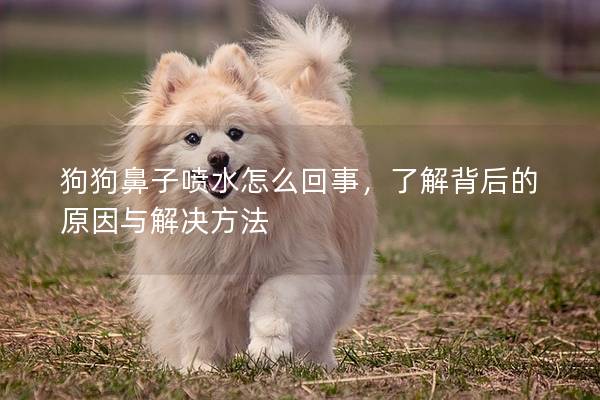 狗狗鼻子噴水怎么回事，了解背后的原因與解決方法