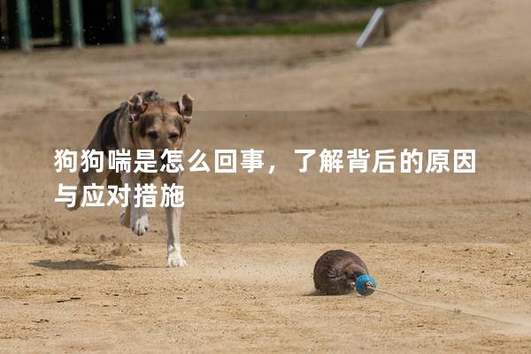 狗狗喘是怎么回事，了解背后的原因與應對措施